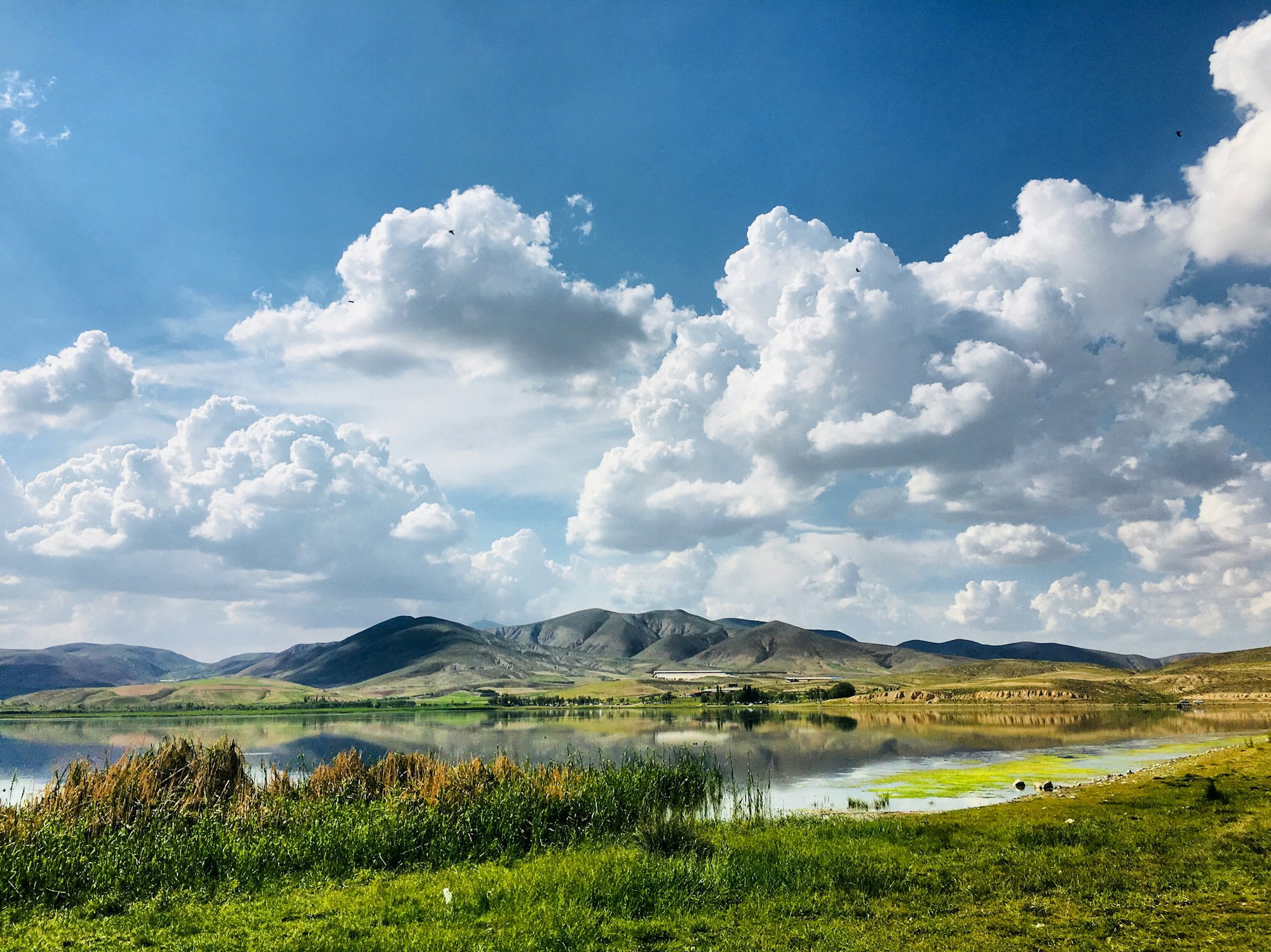 Enhancing Cloud Resilience: Actionable Lessons for CISOs from Real-World Incidents