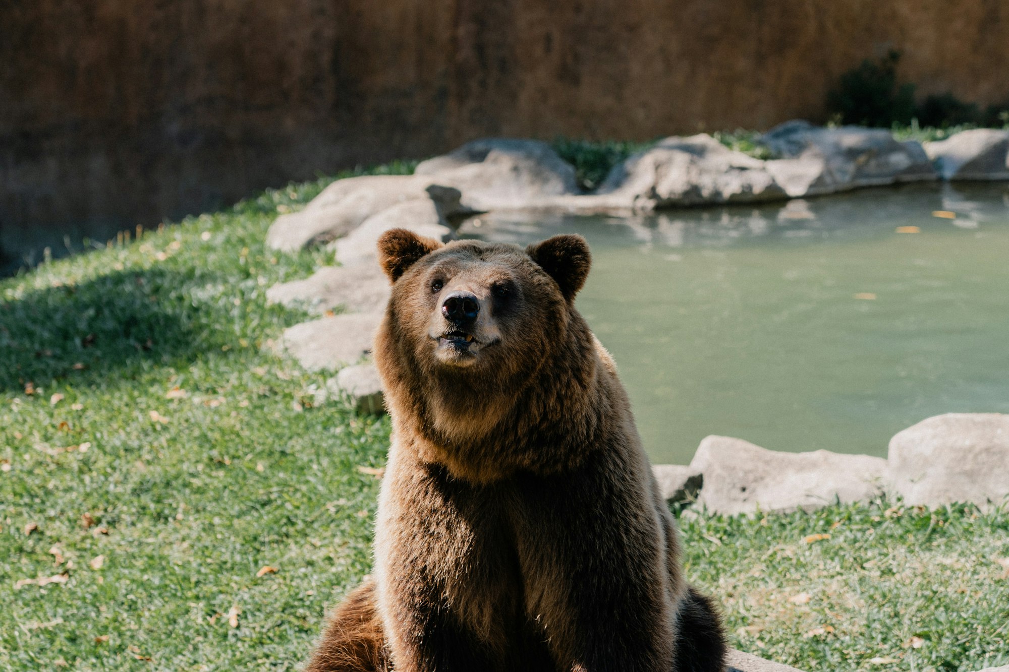 Fancy Bear vs Cozy Bear: Inside Russia's Elite Cyber Warfare Units